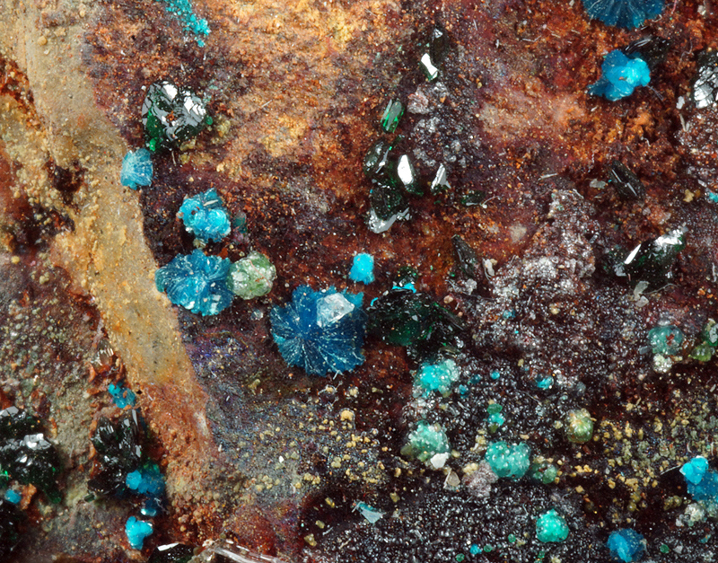 Sampleite, Atacamite - La Farola mine, Tierra Amarilla - Chile