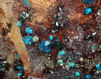 Sampleite, Atacamite - La Farola mine, Tierra Amarilla - Chile