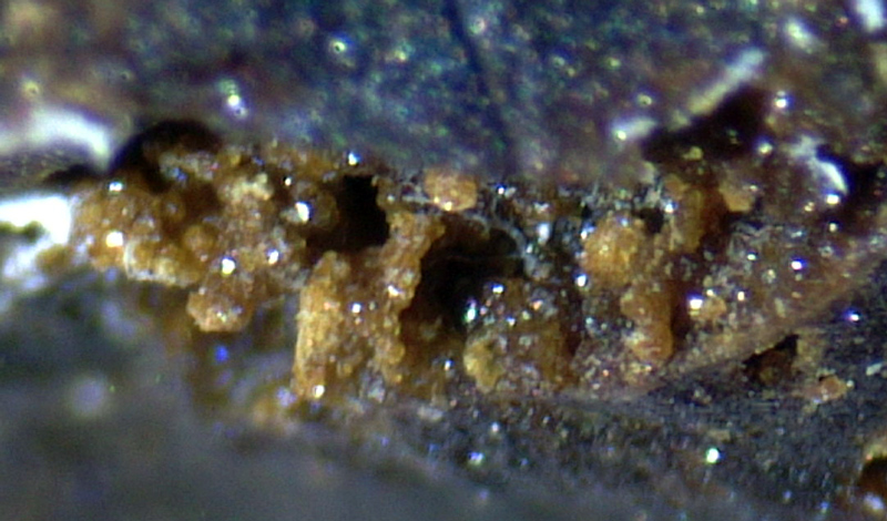 Kladnoite - Kladno district, Central Bohemian,�Czech Republic