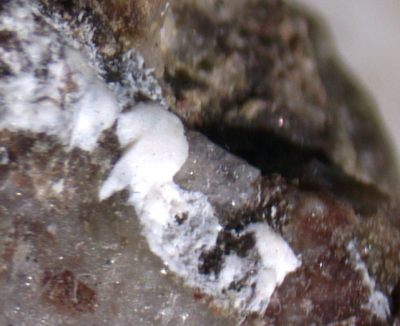 Moorhouseite - Svornost mine, J�chymov, Karlovy Vary, Czech Republic