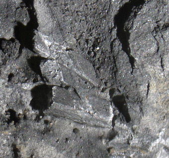 Marialite - F� Valley, Niardo, Lombardy, Italy