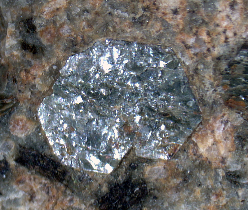 Sudoite - Zebr� Valley, Valfurva, Lombardy, Italy