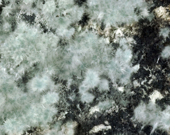 Minyulite - Ross Annibal mine, Black Hills, Lowrence County, South Dakota - USA