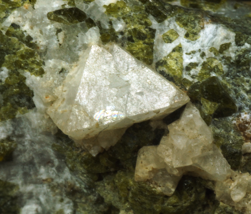 Gismondine - Vedretta della Miniera, Zebr� Valley, Lombardy, Italy