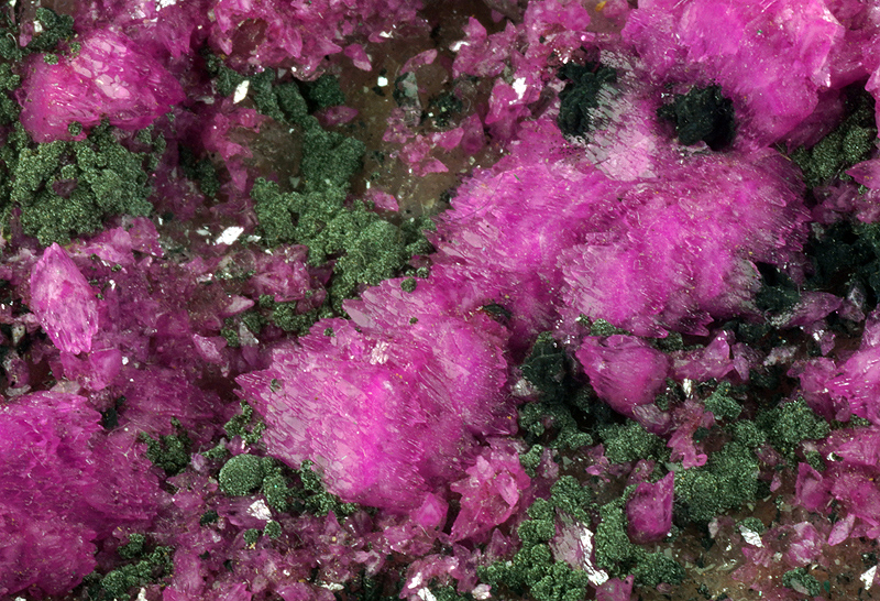 Calcite var Cobaltoan Calcite and Kolvezite - Tenke mine, Tenke-Fungurume area, ,Luabala, Democratic Rep. of Congo