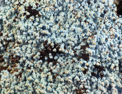 Plancheite and Unknown - Tantara mine, Shinkolobwe, Haut Katanga, Democratic Rep. of Congo