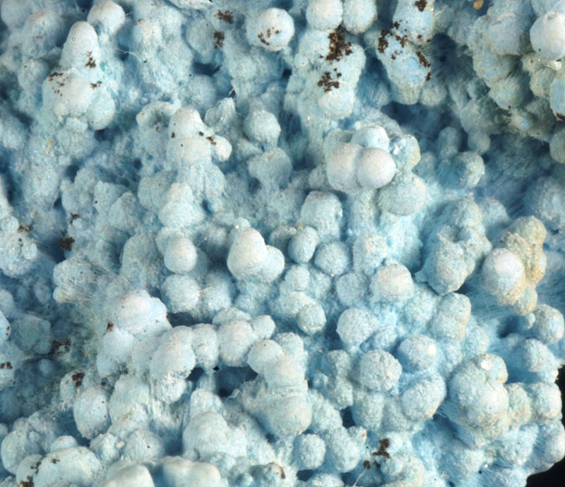 Plancheite and Unknown - Tantara mine, Shinkolobwe, Haut Katanga, Democratic Rep. of Congo