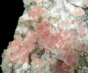 Fluorite, Quartz - Planggenstock, G�scheneralp, G�schenen Valley, Uri, Switzerland