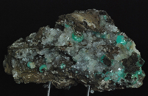 Cuprian adamite (var. of adamite) and hemimorfite - Ojuela mine - Mapim� - Mun. de Mapim� - Durango -Mexico