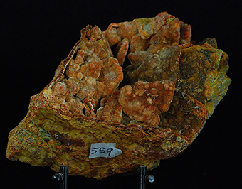 Ferrierite - Albero Bassi - Santorso - Vicenza prov. - Veneto - Italy