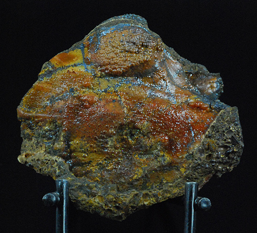 Rhodochrosite and goethite in fossil shell -  Kamysh-Burun Trough - Kerchenskoe deposit - Kerchenskyi (Fe) ore basin - Kerch Peninsula - Crimea - Russia