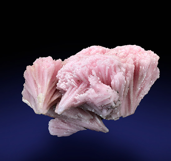 Kutnohorite - Wessels Mine, Hotazel,  Kalahari manganese field,  Northern Cape Province,  South Africa