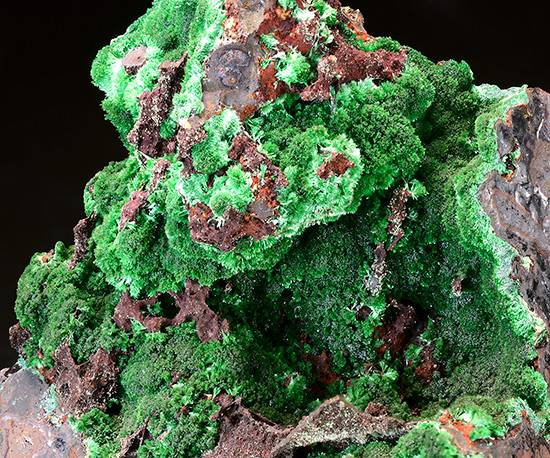 Cuprian Austinite - Ojuela Mine, Mapim�, Durango, Mexico